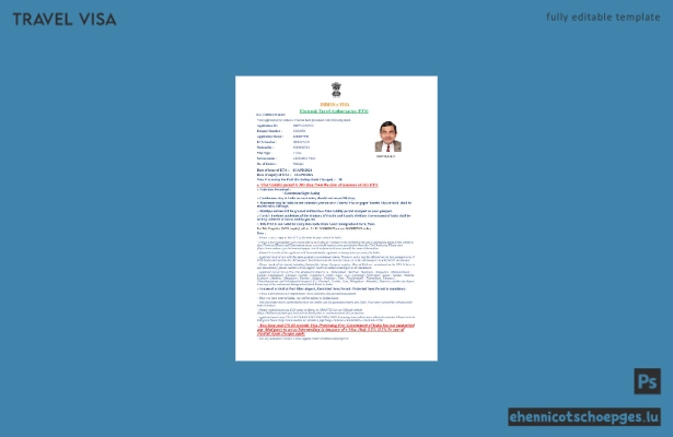Indisches E-Visum in Word- und PDF-Formaten, Version 4 – Beispielvorschau